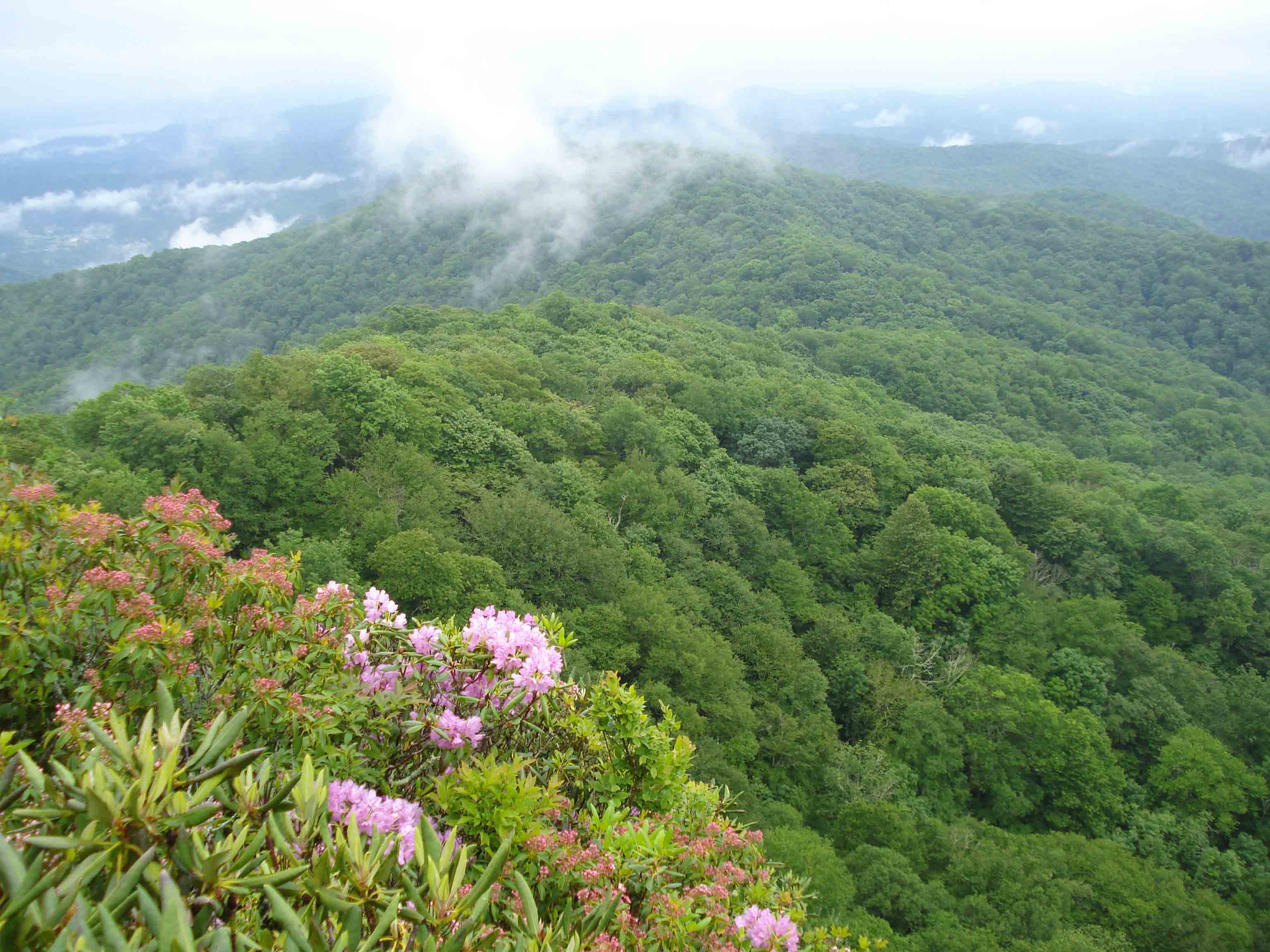 mm 2.3 View from Little Rock Knob.  Courtesy gstrine@embarqmail.com